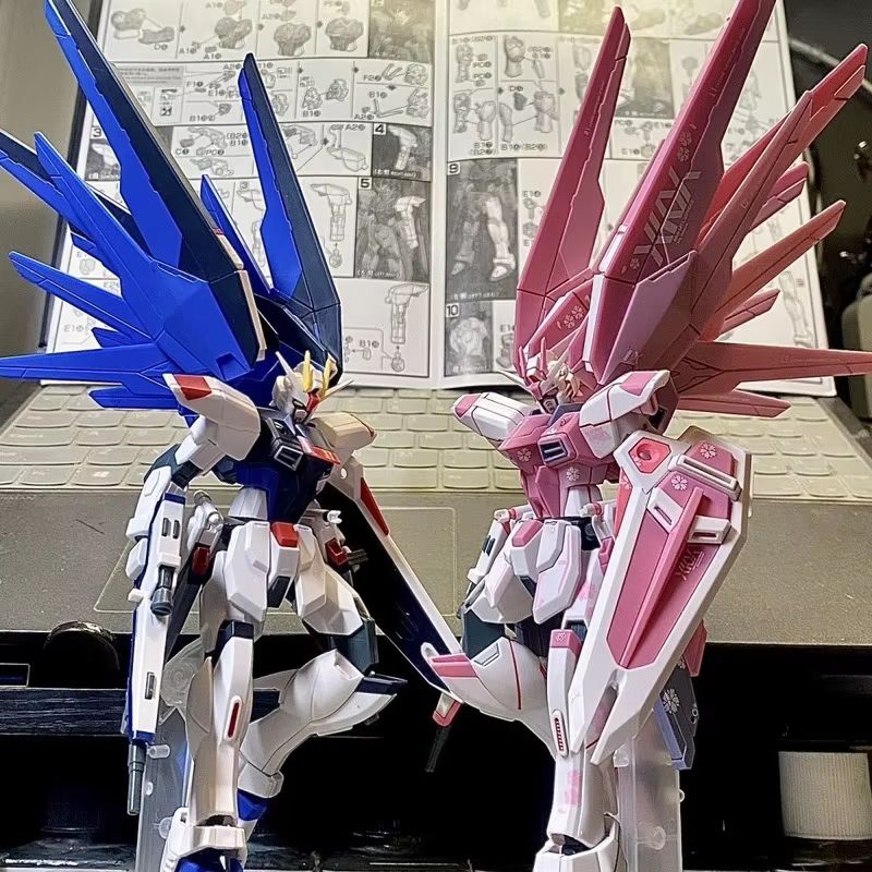 JMS HG 1/144 ZY-06 Freedom Ass – Bandai Gundam Rg recenzja i cena